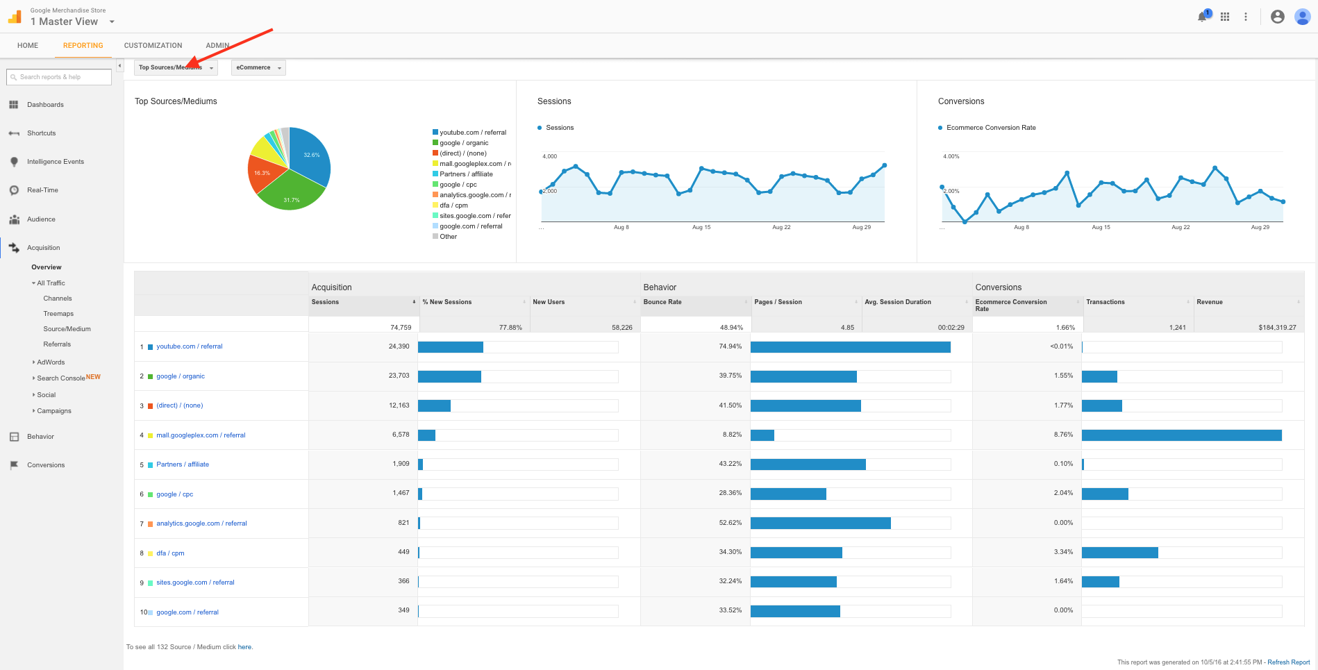 Figure 3: Example Report by Source/Medium