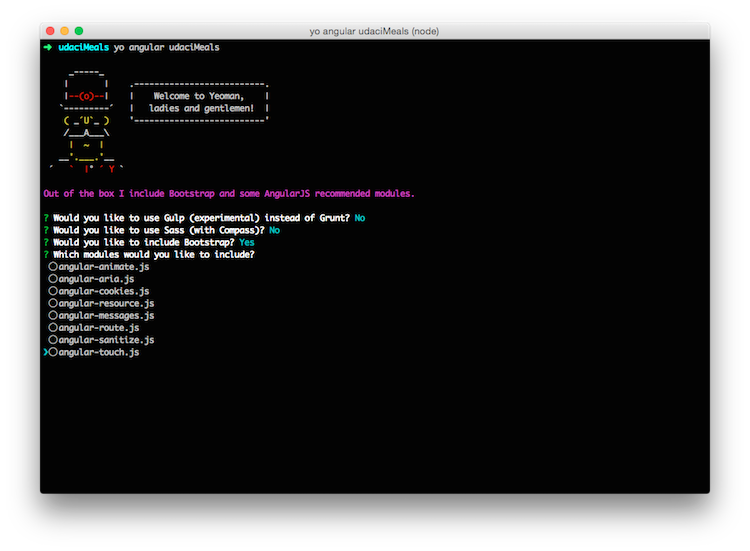 Project Setup Options